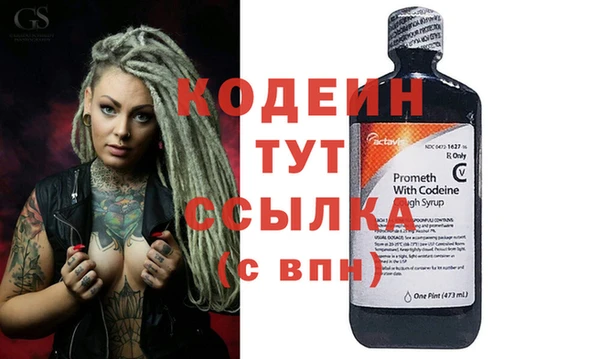 спиды Вяземский